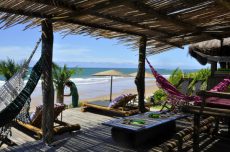 butterfly-house-bahia