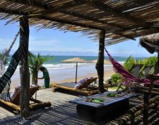 butterfly-house-bahia